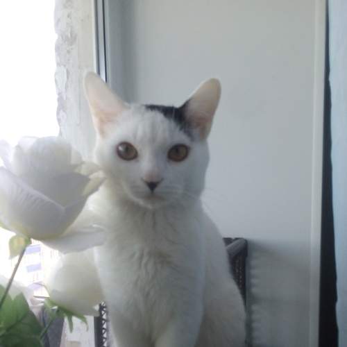 Photo #6778925