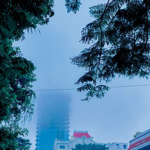 Photo #6778932