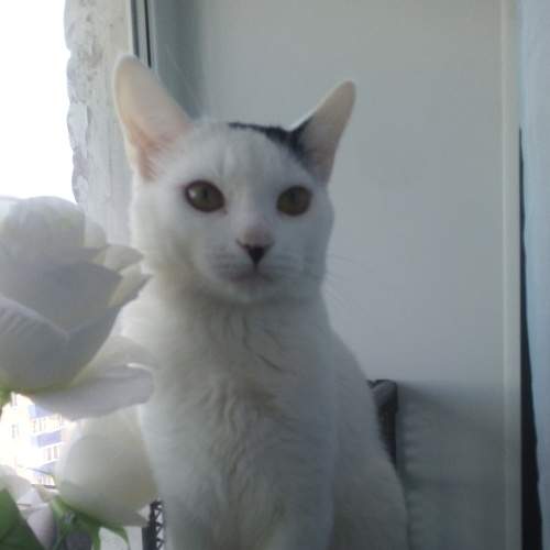 Photo #6778981