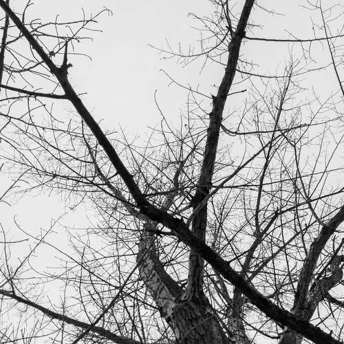 Photo #6779301