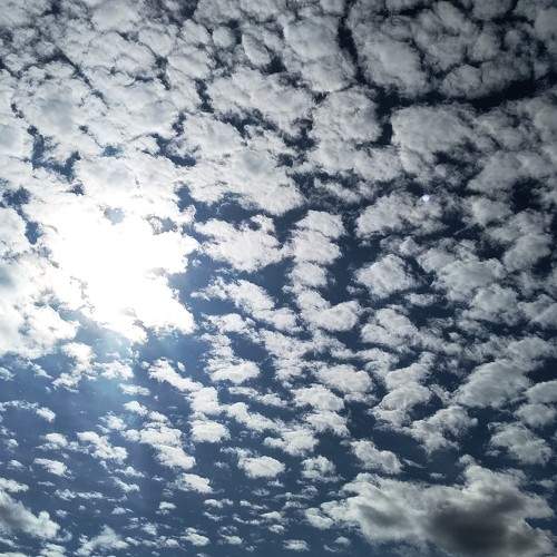 Photo #6779368