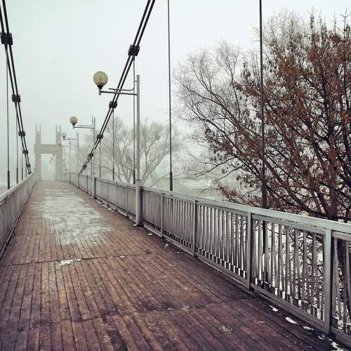 Photo #6779666
