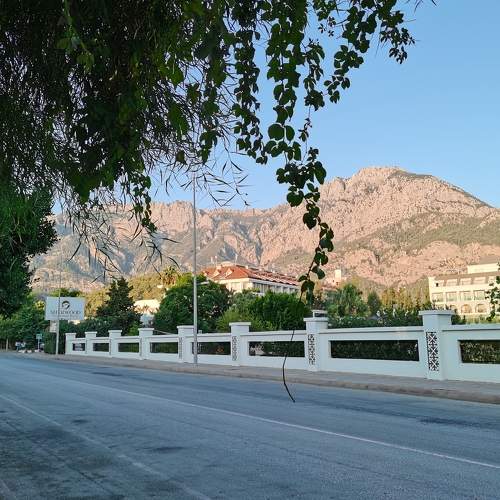 Photo #6780132