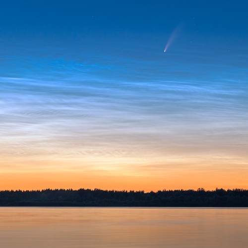 Photo #6780207