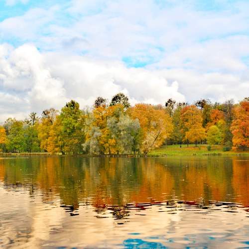 Photo #6781322