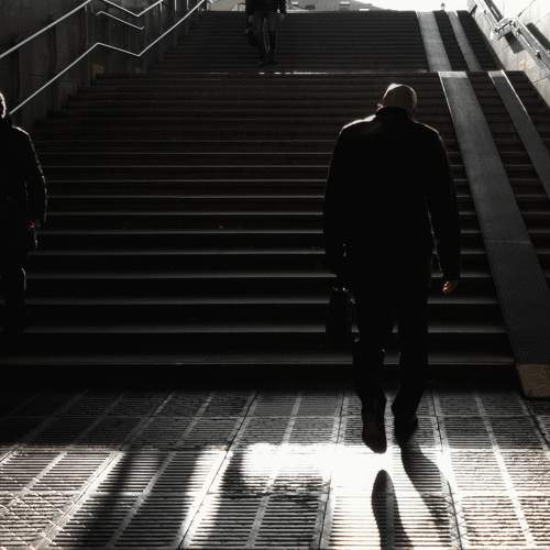 Photo #6781374