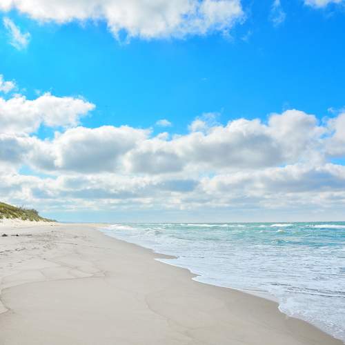Photo #6781600