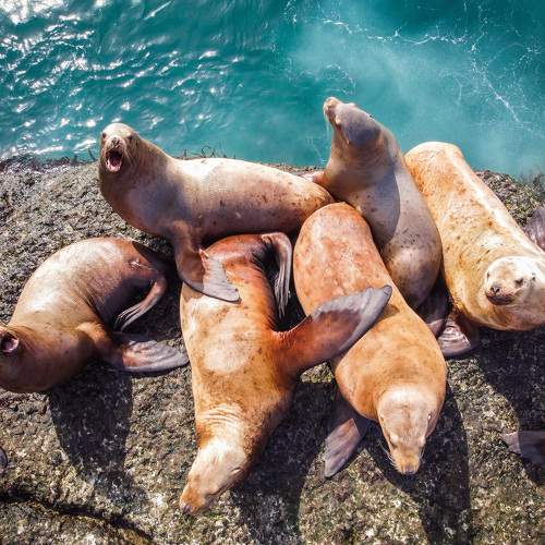 Photo #6782191