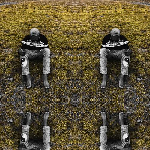 Photo #6782317