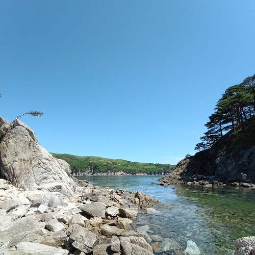 Photo #6782615