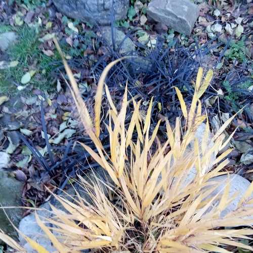 Photo #6782653