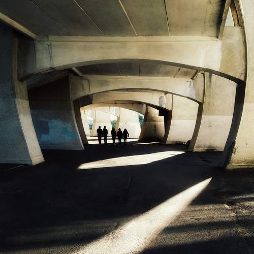 Photo #6782884