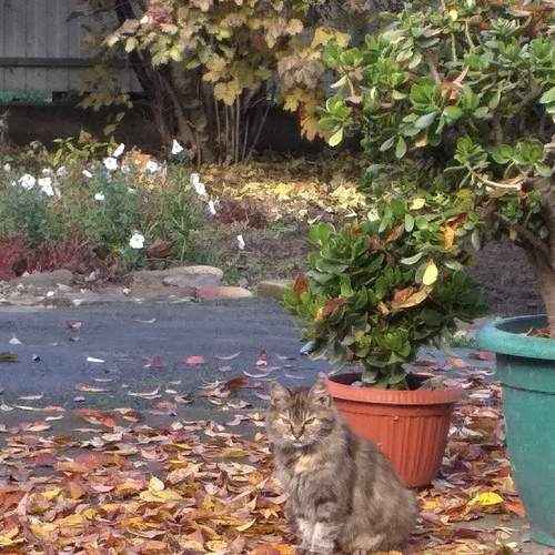 Photo #6782999