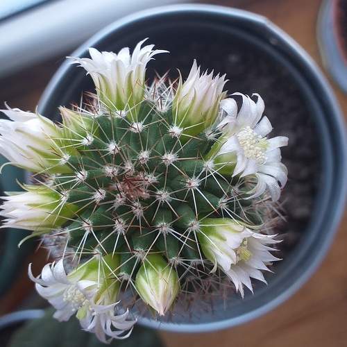 Photo #6783034