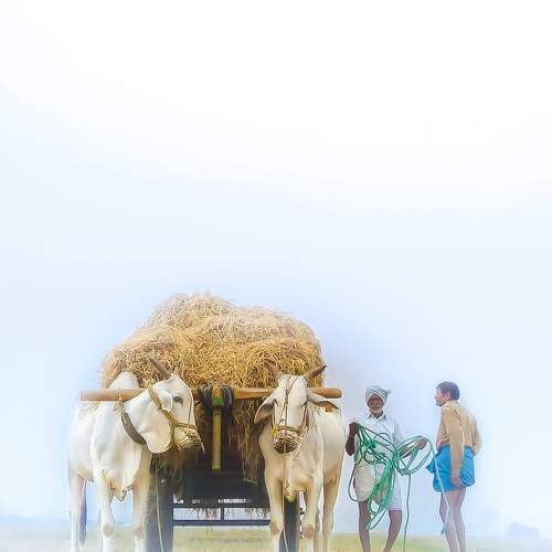 Photo #6783196