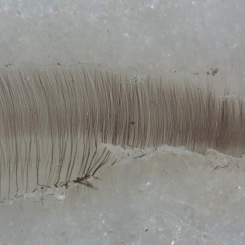 Photo #6783592