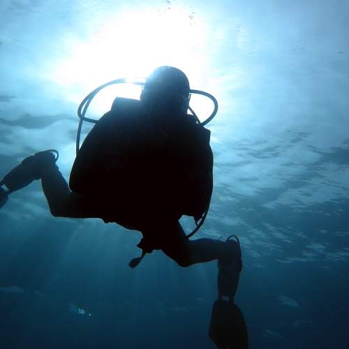 Photo #6783960
