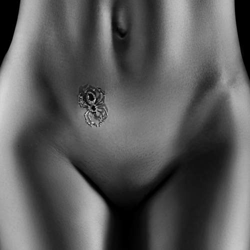 Photo #6784110