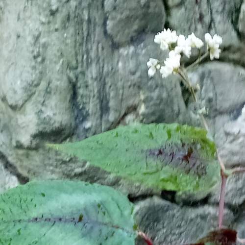 Photo #6784262