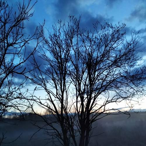 Photo #6784476
