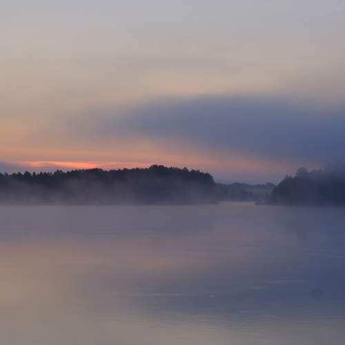 Photo #6784509