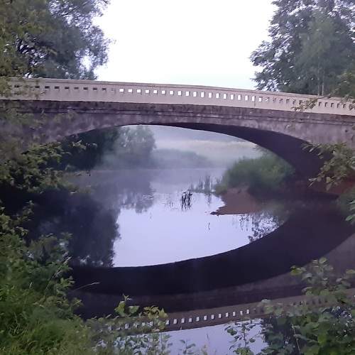 Photo #6784514