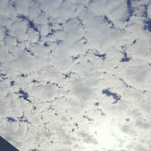 Photo #6784550