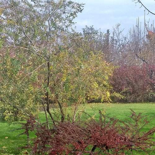Photo #6784638
