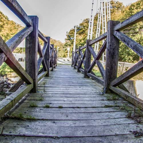 Photo #6784688