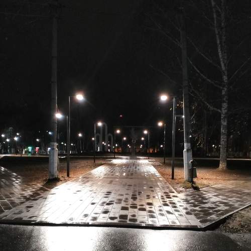 Photo #6784910