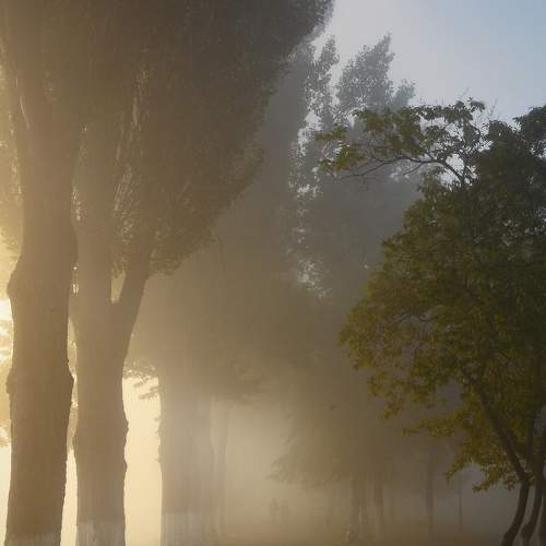 Photo #6784917