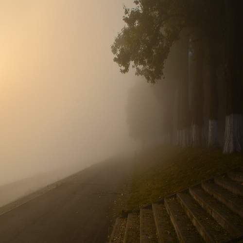 Photo #6784918