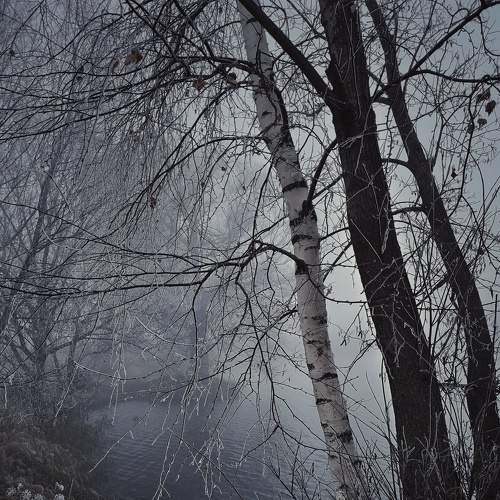 Photo #6784961