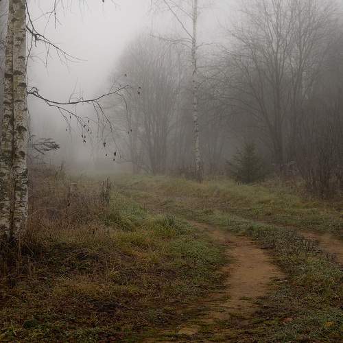 Photo #6784985