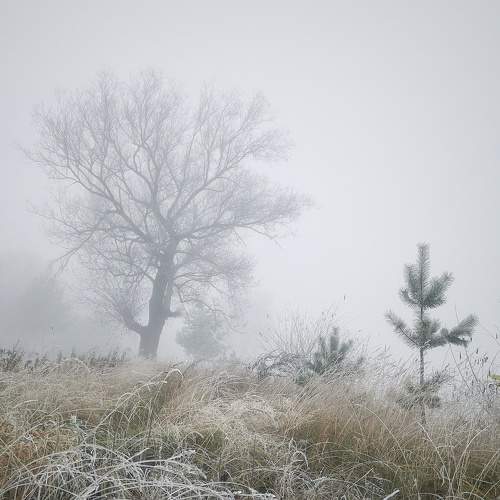 Photo #6784989