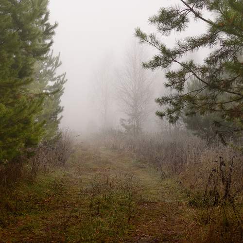 Photo #6784998
