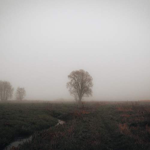 Photo #6785051