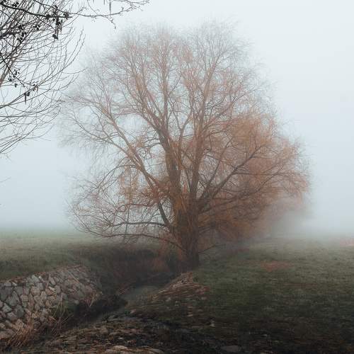 Photo #6785053