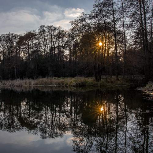 Photo #6785096