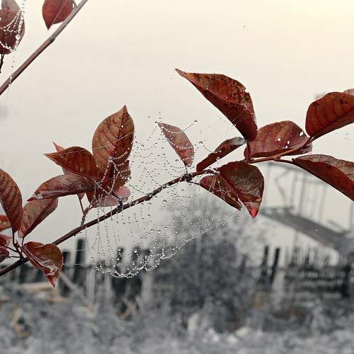 Photo #6785492