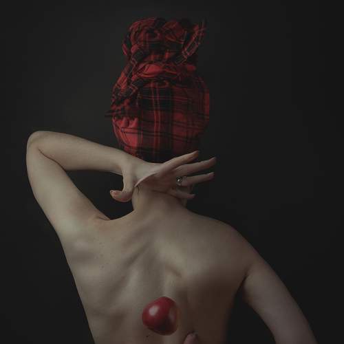 Photo #6785711