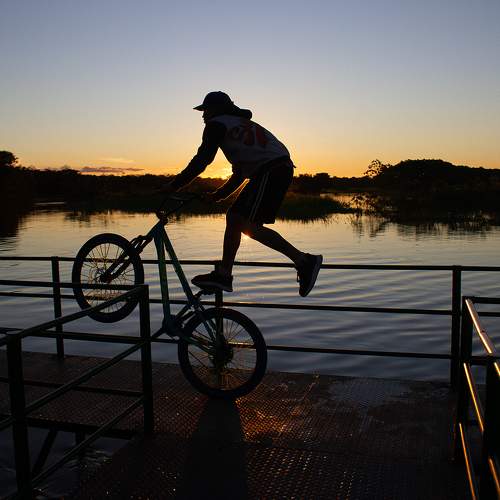 Photo #6786161