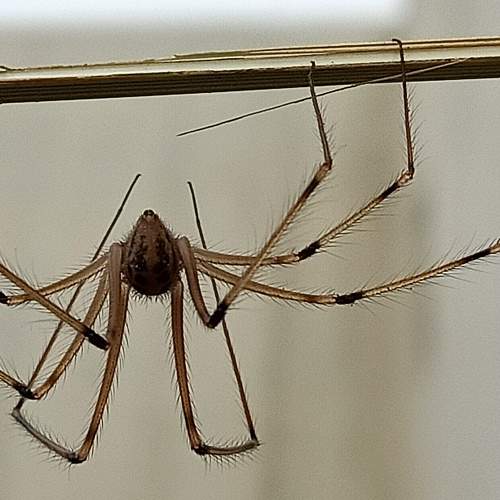 Photo #6786171