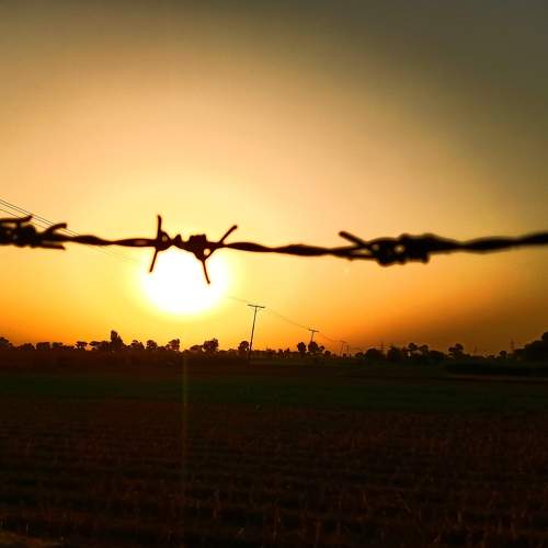 Photo #6786173