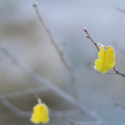 Обновление