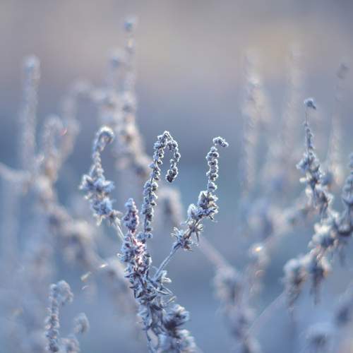 Воздушное утро