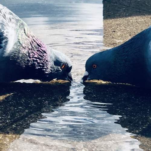 Photo #6786806