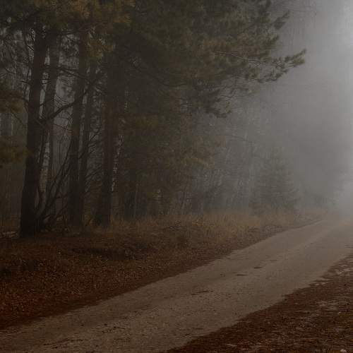 Photo #6786892