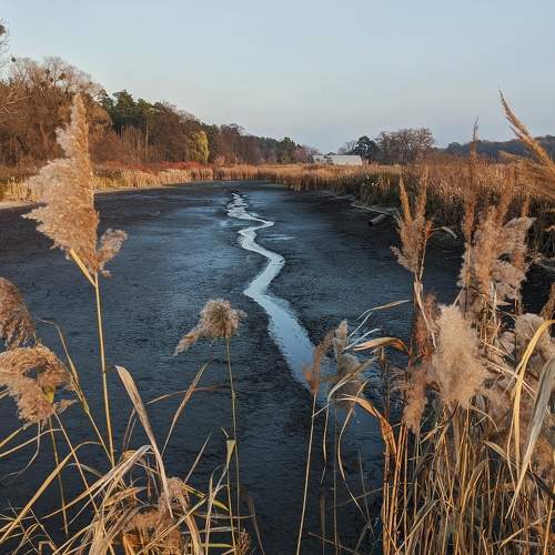 Photo #6786986