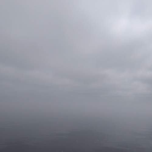 Photo #6787130